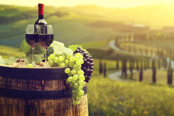 vineyard & distillery tours & tastings