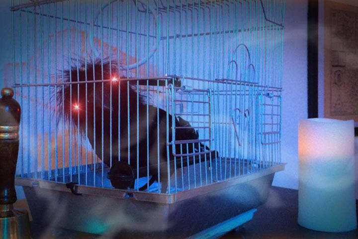 escape the room experience in huddersfield and liverpool