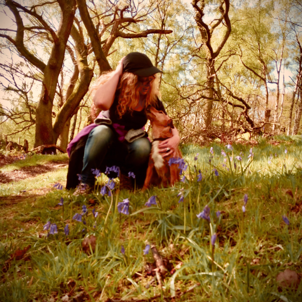private forest bathing & wild medicine walk for two in the peak district