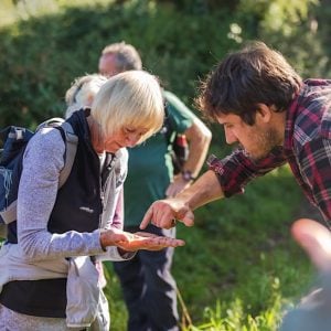 forage, feast and explore experience in yorkshire and the north west