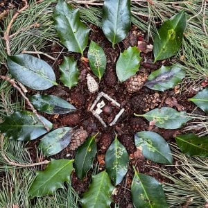 forest bathing experience in liverpool