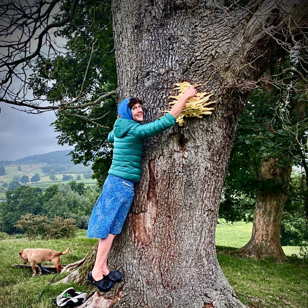 private forest bathing & wild medicine walk for two in the peak district