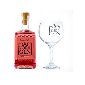 gin tasting with york gin