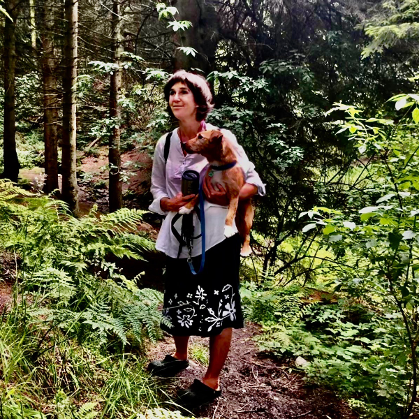private forest bathing & wild medicine walk for two in the peak district