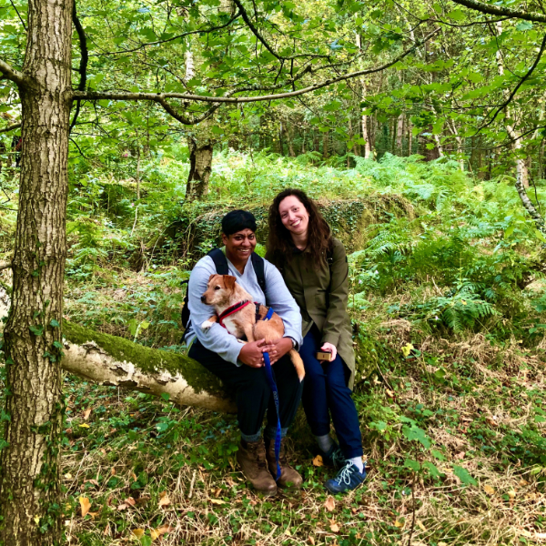 private forest bathing & wild medicine walk for two in the peak district