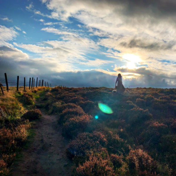private forest bathing & wild medicine walk for two in the peak district