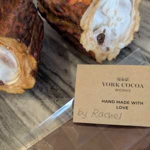 from bean to bar chocolate making experience