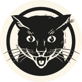 gin making experience at black cat distillery near penrith