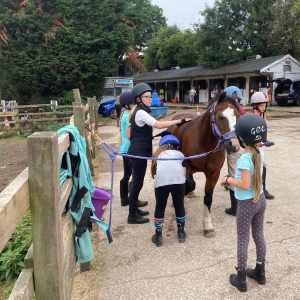 brush and ride one hour horse care and riding experience near sheffield