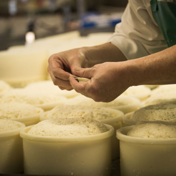 Northumberland Cheese Company Tasting & Tour With Afternoon Tea Experience