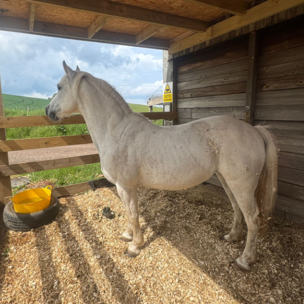 a morning with the herd at eat, sleep, ride near berwick upon tweed