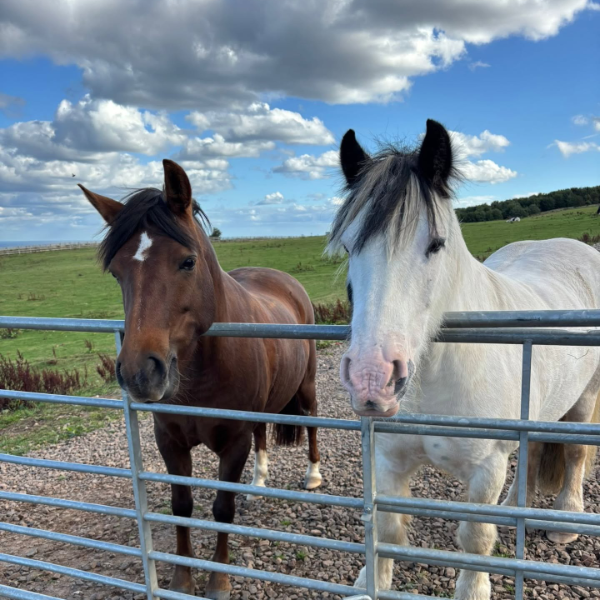 ride and refresh experience with eat, sleep, rides near berwick upon tweed