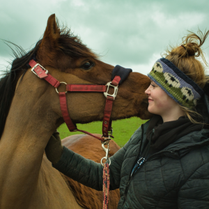 a morning with the herd at eat, sleep, ride near berwick upon tweed